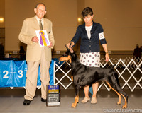 Doberman Pinscher #26 Sat BOB Judge Dr Robert A lndeglia