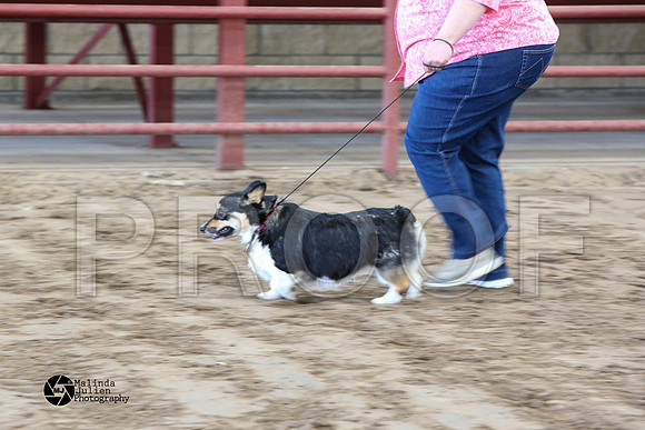 MJ2_0929-WacoFeb14-HR