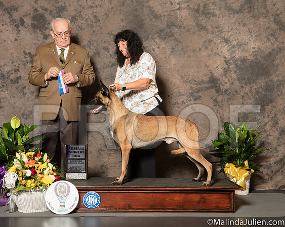 Belgian Malinois #7 Sat RWD Judge Col Joe Purkhiser-SSR_7203-Lngvw2018-HR3