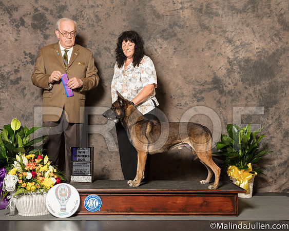 Belgian Malinois #5 Sat WD Maj Judge Col Joe Purkhiser-SSR_7201-Lngvw2018-HR3