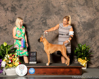 Boxer #6 Sat WB Kim Rutherford Judge Evalyn Gregory