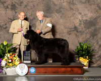 Newfoundland #10 Sat WB Judge Dr Robert A lndeglia