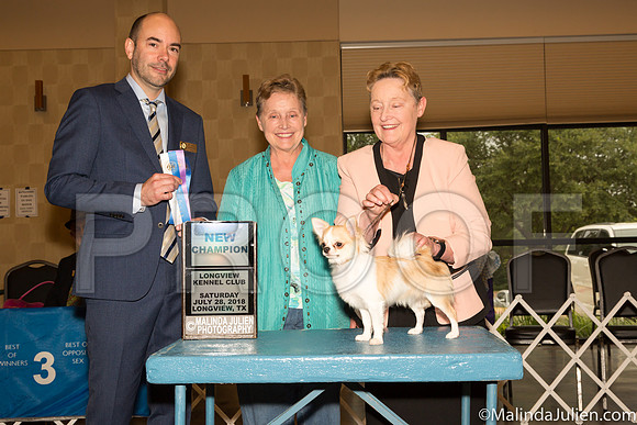 Chihuahua Long Coat #10 Sat BOW NCh Judge Dr Geno Sisneros-_ST_9204-Lngvw2018-HR3