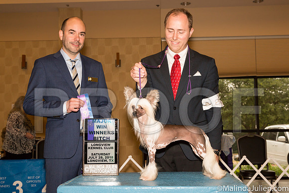Chinese Crested #20 Sat WB Maj Judge Dr Geno Sisneros-_ST_9216-Lngvw2018-HR3