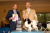 Japanese Chin #15 Sat BOB Maj Judge Dr Geno Sisneros