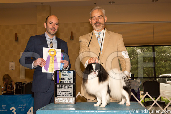 Japanese Chin #15 Sat BOB Maj Judge Dr Geno Sisneros-_ST_9221-Lngvw2018-HR3
