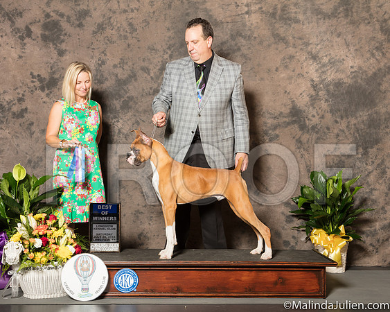 Boxer #18 BOW Judge Evalyn Gregory-SSR_7243-Lngvw2018-HR3