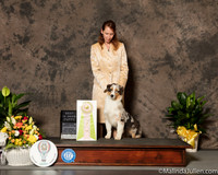 Australian Shepherd #? Sat Best Puppy in Show