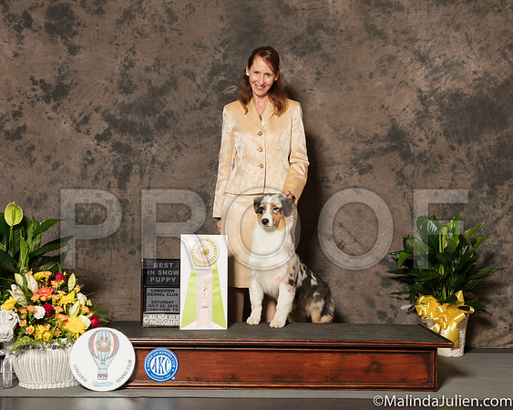 Australian Shepherd #? Sat Best Puppy in Show-SSR_7327-Lngvw2018-HR3