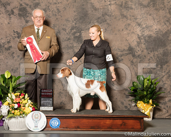 Brittany #5 Sat G2 Judge Col Joe Purkhiser-SSR_7335-Lngvw2018-HR3