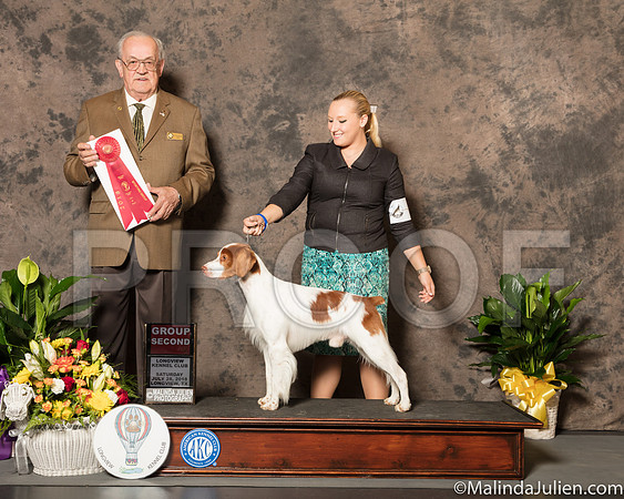 Brittany #5 Sat G2 Judge Col Joe Purkhiser-SSR_7337-Lngvw2018-HR3