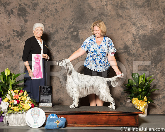 English Setter #10 sat OHG1 Judge Dr Murrel Purkhiser-SSR_7357-Lngvw2018-HR3