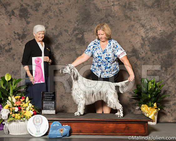 English Setter #10 sat OHG1 Judge Dr Murrel Purkhiser-SSR_7358-Lngvw2018-HR3