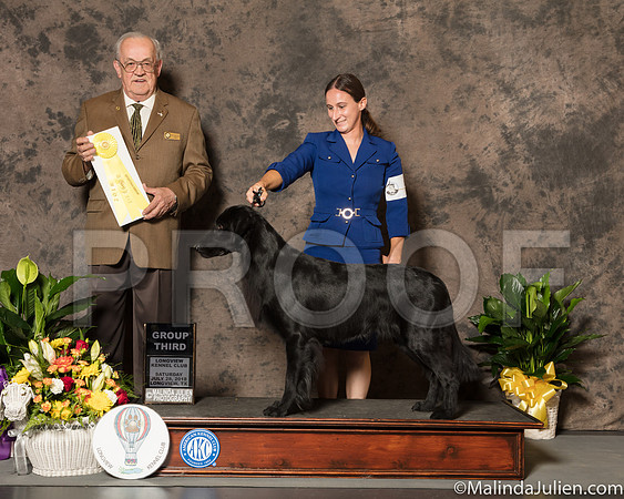 Flat Coated Retriever #5 Sat G3 Judge Col Joe Purkhiser-SSR_7339-Lngvw2018-HR3