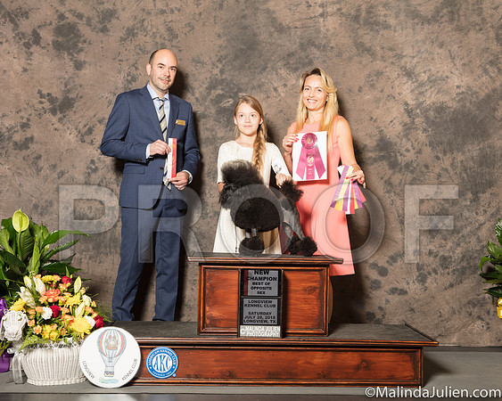 Poodle Toy #8 Sat BOS NGrCh Judge Dr Geno Sisneros-SSR_7409-Lngvw2018-HR3