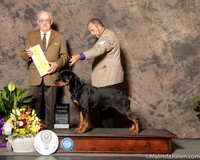 Rottweiler #6 Sat G3 Judge Col Joe Purkhiser