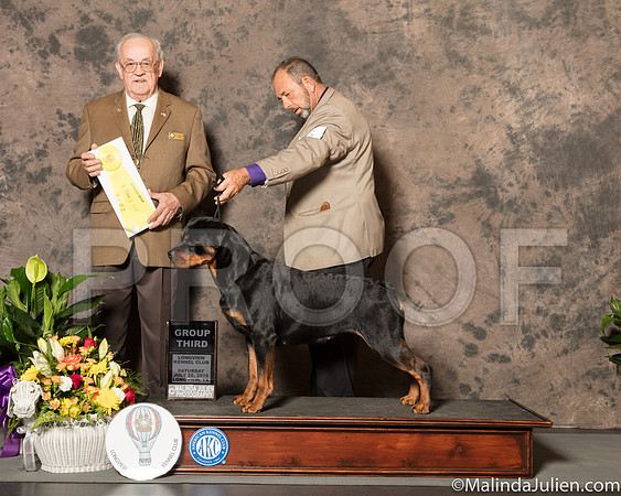 Rottweiler #6 Sat G3 Judge Col Joe Purkhiser-SSR_7364-Lngvw2018-HR3