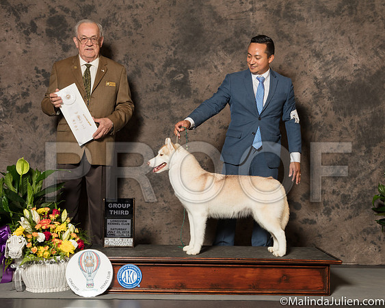 Siberian Husky #28 Sat G4 Judge Col Joe Purkhiser-SSR_7370-Lngvw2018-HR3