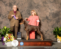 Doberman Pinscher #9 Sun WD Judge Col Joe Purkhiser