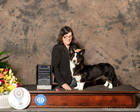 Cardigan Welsh Corgi #10 Sun BOS NGrCh Judge Murrel Purkhiser