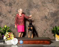 Doberman Family #3 Custom