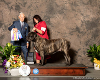 Mastiff #16 Sun BOB Maj Judge Joe Gregory
