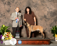 Belgian Malnois #10 Sun BOS Judge Joe Gregory