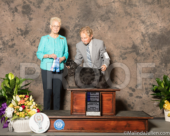Cocker Spaniel Black #10 Sun BOW NCh Judge Carol Tobin-SSR_7648-Lngvw2018-HR3