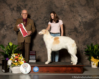 Borzoi #6 Sun G2 Judge Col Joe Purkhiser