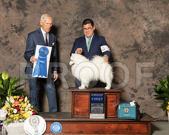 American Eskimo #5 Sun G1 Judge Joe Gregory-SSR_7775-Lngvw2018-HR3