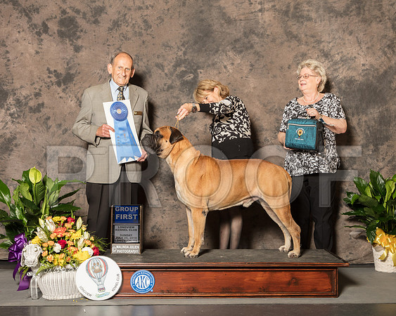 Bullmastiff #5 Sun G1 Judge Dr Robert A lndeglia-SSR_7808-Lngvw2018-HR3