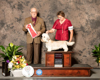 Dandie Dinmont #5 Sun G2 Judge Col Joe Purkhiser