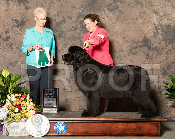 Newfoundland #6 Sun OHG3 Judge Carol Tobin Murray-SSR_7848-Lngvw2018-HR3