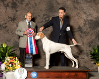 Pointer #5 Sun BIS Judge Dr ROBERT INDEGLIA