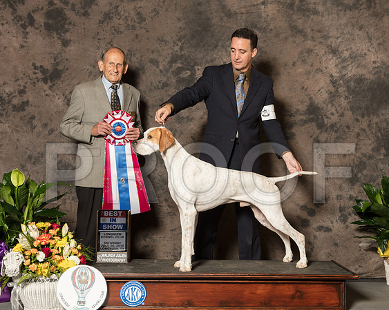 Pointer #5 Sun BIS Judge Dr ROBERT INDEGLIA-SSR_7901-Lngvw2018-HR3
