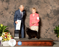 Schipperkee #5 Sun G4 Judge Joe Gregory