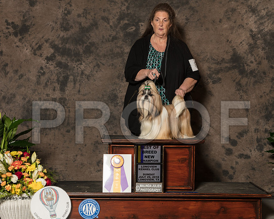 Shih Tzu #8 Sun BOB NCh Evalyn Gregory-SSR_7830-Lngvw2018-HR3