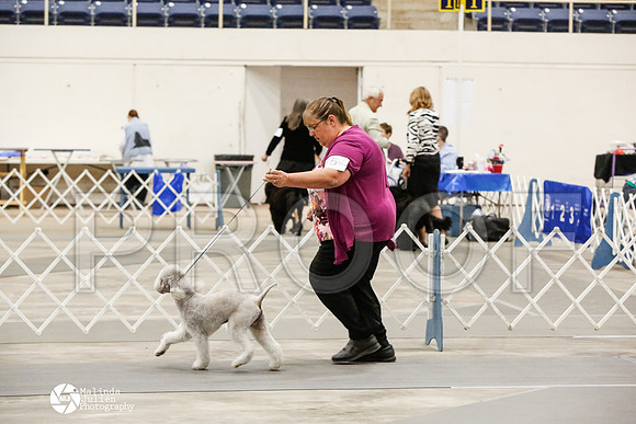 _CK_7882-AblnMay2014-web