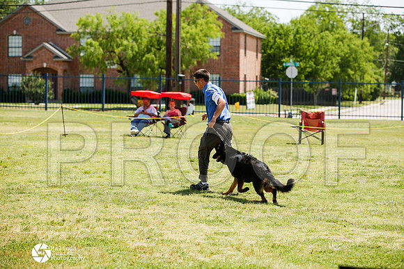 _J1_8019-BgSprngMay14-HR3