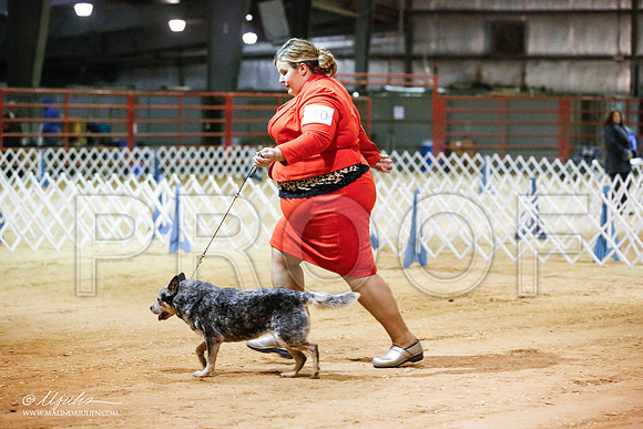 _JN_4991-2-GlenRoseJan2015-HR3