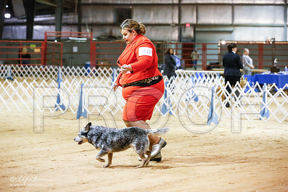 _JN_4988-2-GlenRoseJan2015-HR3
