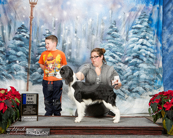 _ST_9428-DallasDec2014-HR3