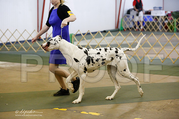 _RH_5780-DntnJun2014-HR3