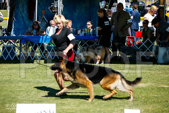 _JJ_5464-AlamogordoOct2014-HR3