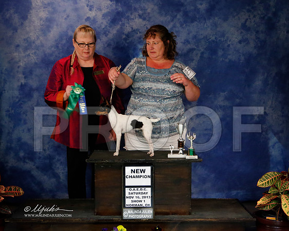 TFT-2-15-NormNov2013-HR