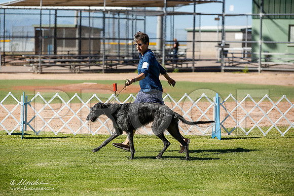 _JN_5914-AlamogordoOct2014-HR3