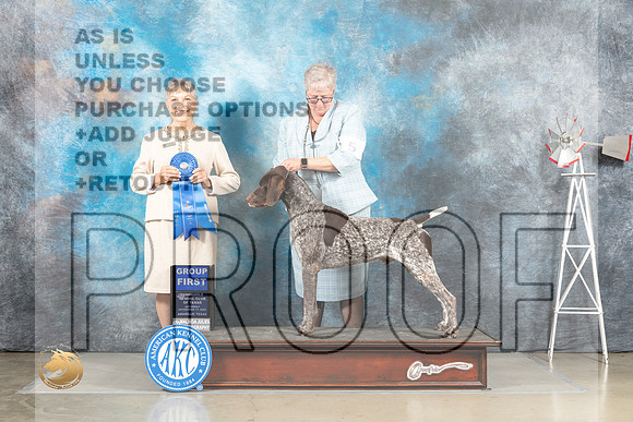 German Shorthaired Pointer #5 G1 Judge Jill Warren_MJ_4588_Amarillo_2022_HR3
