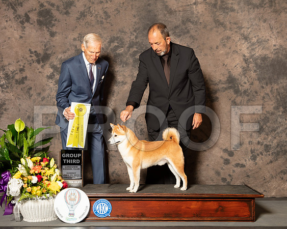 Shiba Inu #5 Sun G3 Judge Joe Gregory-SA2018-SSR_7784e1-HR3