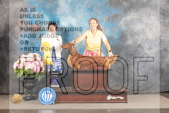 Dachshund Long Haired #11 FRI G3 Judge Barbara Alderman_MJ_5782_Houston_2022_HR3