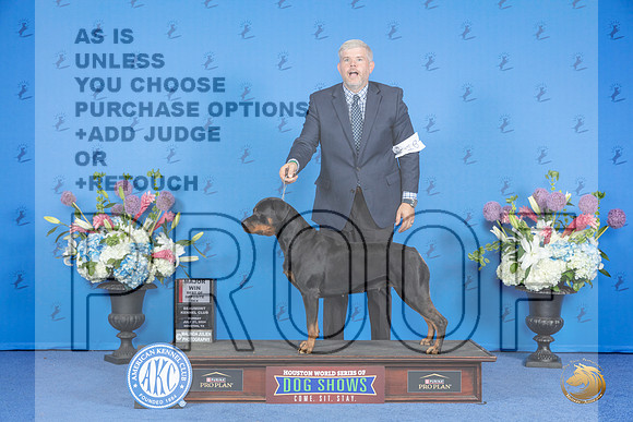 Rottweiler #18 SUN BOS Judge Ronald Freeman__JP_0036_Houston_2024_HR3